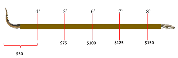 Length of Python