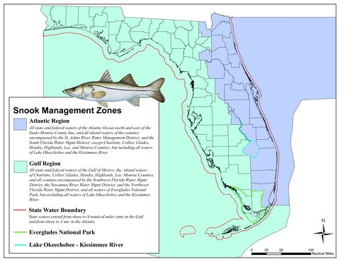 fishing planet common snook florida