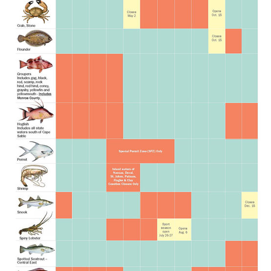 Saltwater Recreational Fishing Regulations FWC