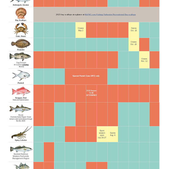 Saltwater Recreational Fishing Regulations FWC
