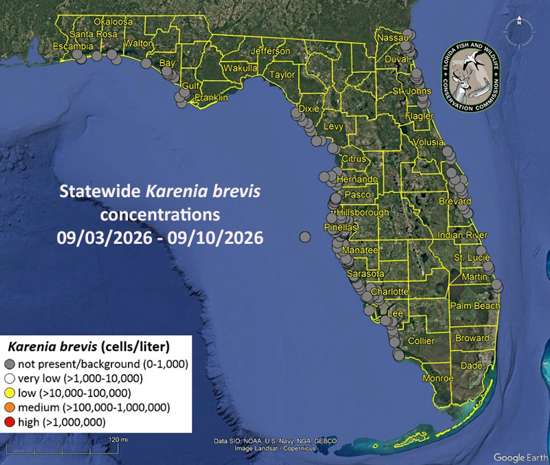 A map of Florida showing locations of water samples collected September 3 through 10, and analyzed over the past week, as detailed in the regional Red Tide Status Reports dated September 11.