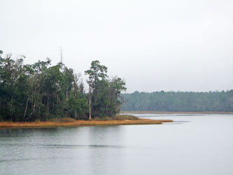 Ocala National Forest Lakes | FWC