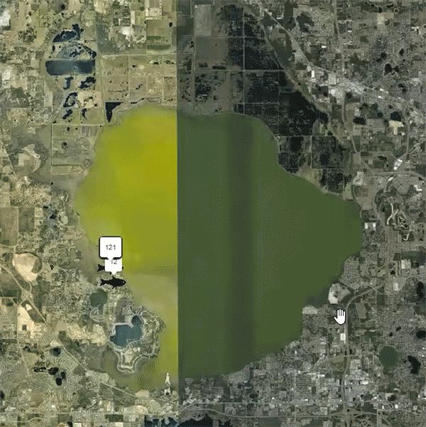 Animated GIF of the telemetry tracking of grass carp in Lake Apopka