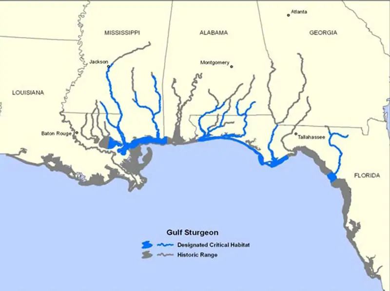 Habitat map for Gulf Sturgeon