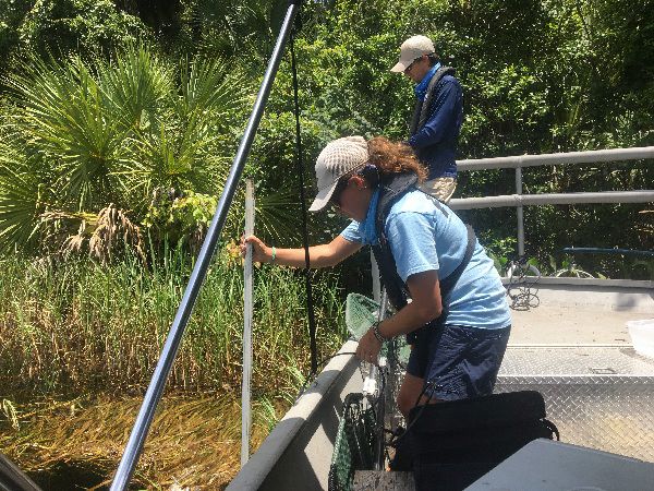 Biologist checking water level from the side of a boat