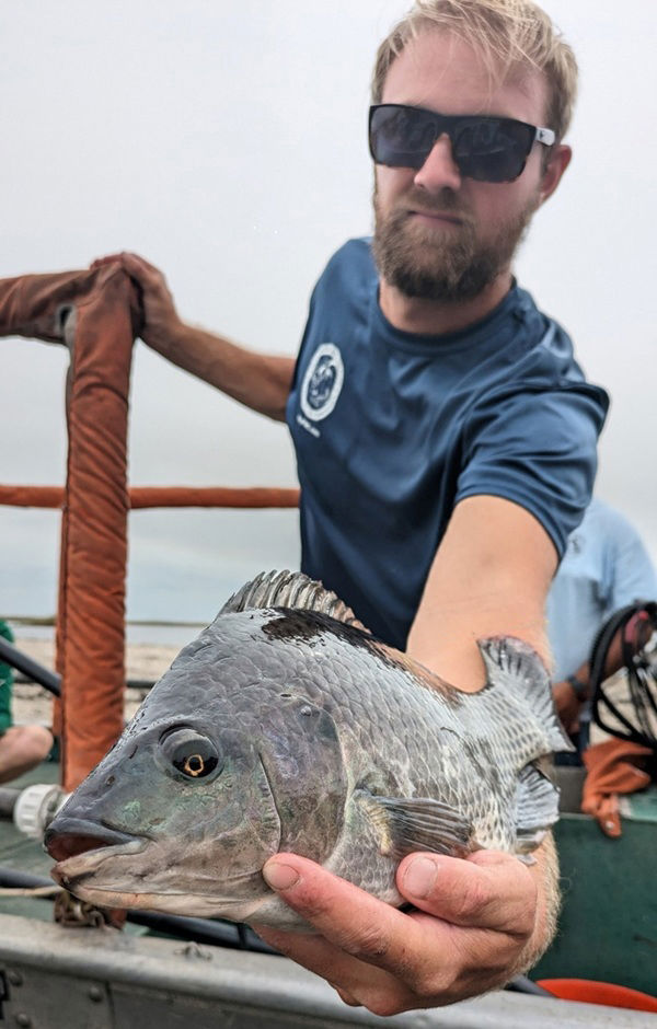 Biologist holding a tilapia