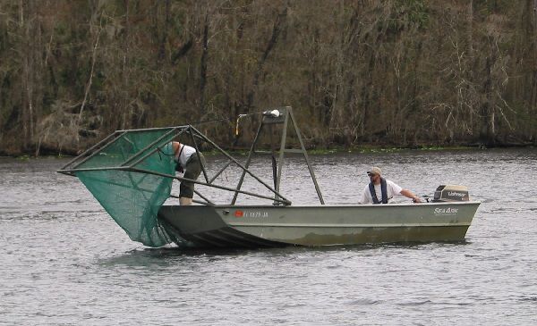 Biologists in a boat with a large net in the front