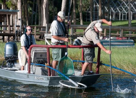 Biologists electrofishing