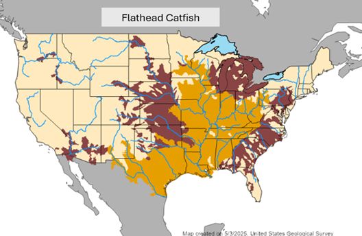 Map of Flathead distribution in the U.S.