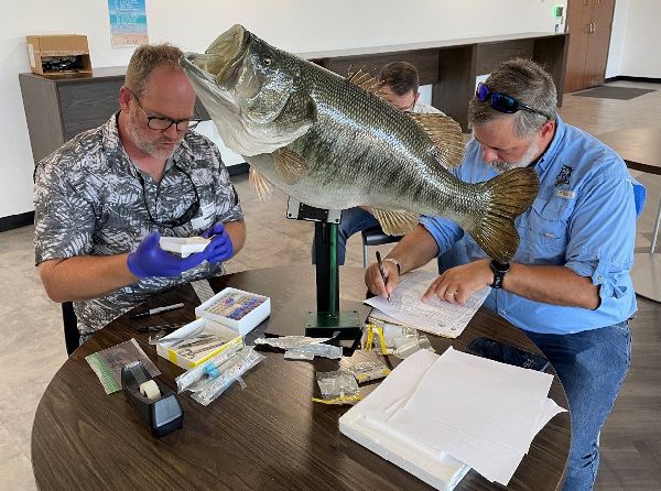 Biologists working on Florida Bass genetic samples